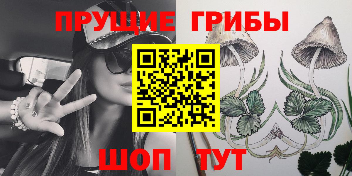 Псилоцибиновые грибы Psilocybe  Вход с VPN  Реж  Галлюциногенные грибы Magic Shrooms 