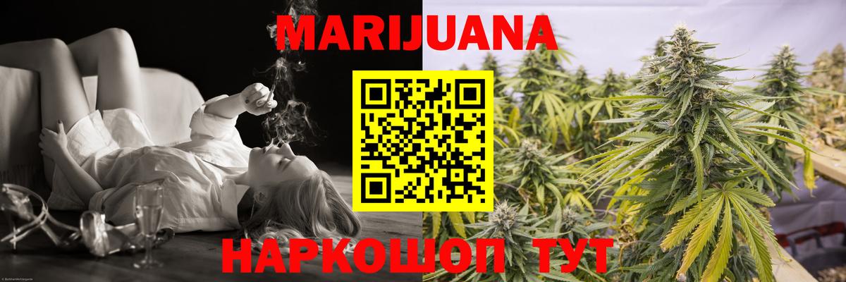 Каннабис план  Каннабис сатива  Марихуана Bruce Banner  Вход с VPN  Реж 